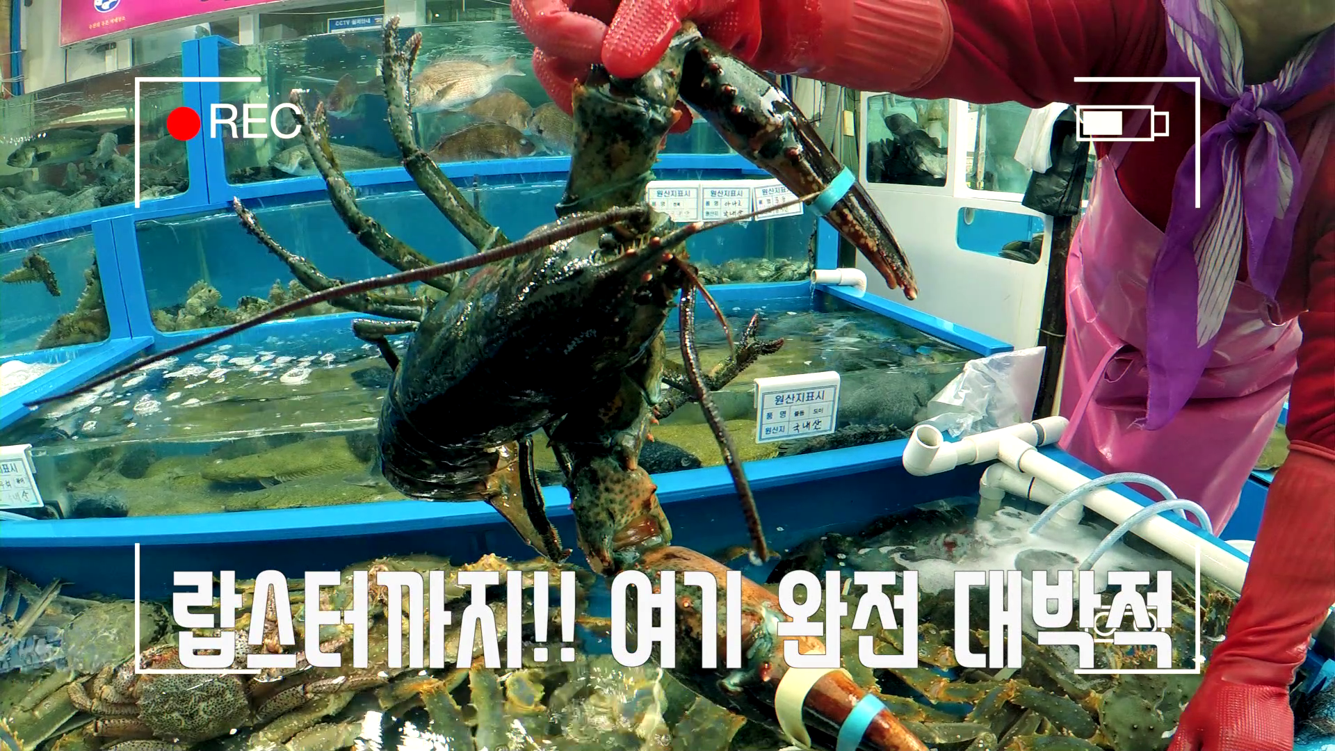 대천항 수산시장